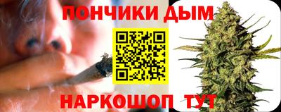 крисы Братск