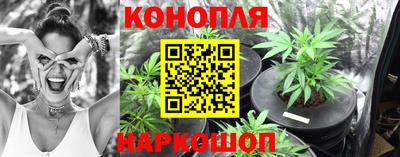 молекула духа Брянск
