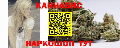 крисы Братск