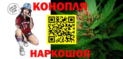 гидропоника Боровичи