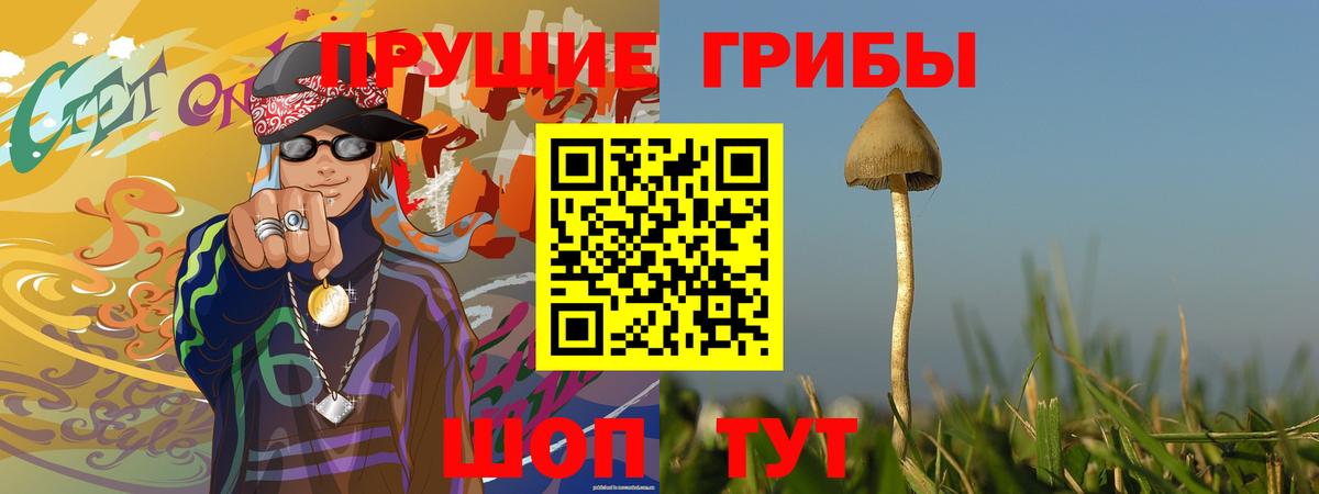 Псилоцибиновые грибы MAGIC MUSHROOMS  Вход с VPN  наркошоп  Городец 